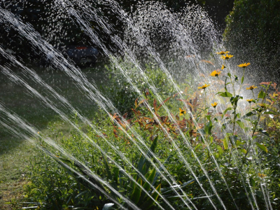 ¿Cuál es el mejor sistema de riego para ahorrar agua?