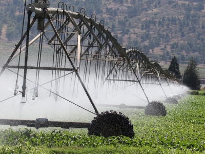 Uso de sensores de humedad en sistemas de riego: eficiencia y ahorro de agua