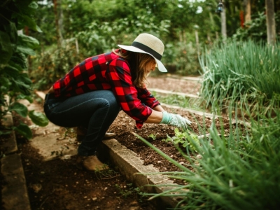 Optimiza el tiempo con el riego por goteo para huertos