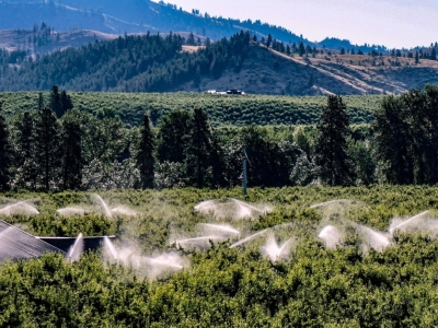 Flexibilidad y funcionalidad: programadores de riego a pilas