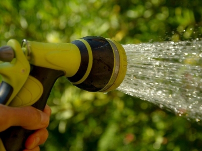 Tipos de riego para tu jardín: cuál es el mejor